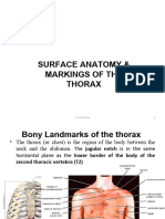 Surface Anat of Thorax