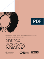 Cadernos STF Povos Indigenas Web 23 02 10