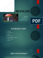 Homgos