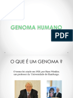 Genomahumano 140508174547 Phpapp01