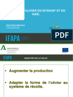 Webinaire Taille Oliviers Haie Fruitiere Verger Traditionnel Espagne France Olive