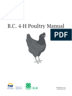 Poultry Activity Guide