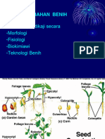 PERKECAMBAHAN