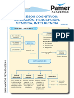 C - Psico - R2 - Procesos Cognitivos (Percepción, Atención, Memoria)
