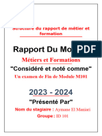 Structure Du Rapport de Métier Et Formation