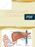 Metabolismo Intermedio...