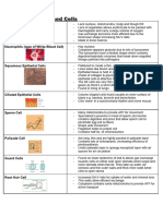 Biology A-Level OCR A: Specialised Cells & Organism Organisation