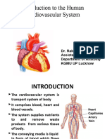 Introduction to the CVS