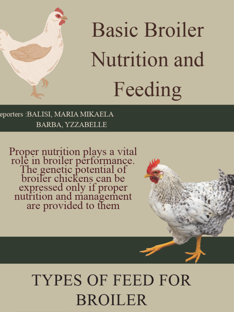 Feeding and Nutrition PDF Amino Acid Broiler