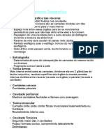 Estática e Topográfica PDF