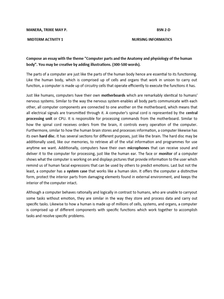 Anatomy of Computer Essay PDF Brain Information