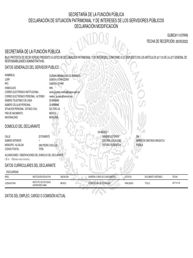 Declaración PDF México Impuestos