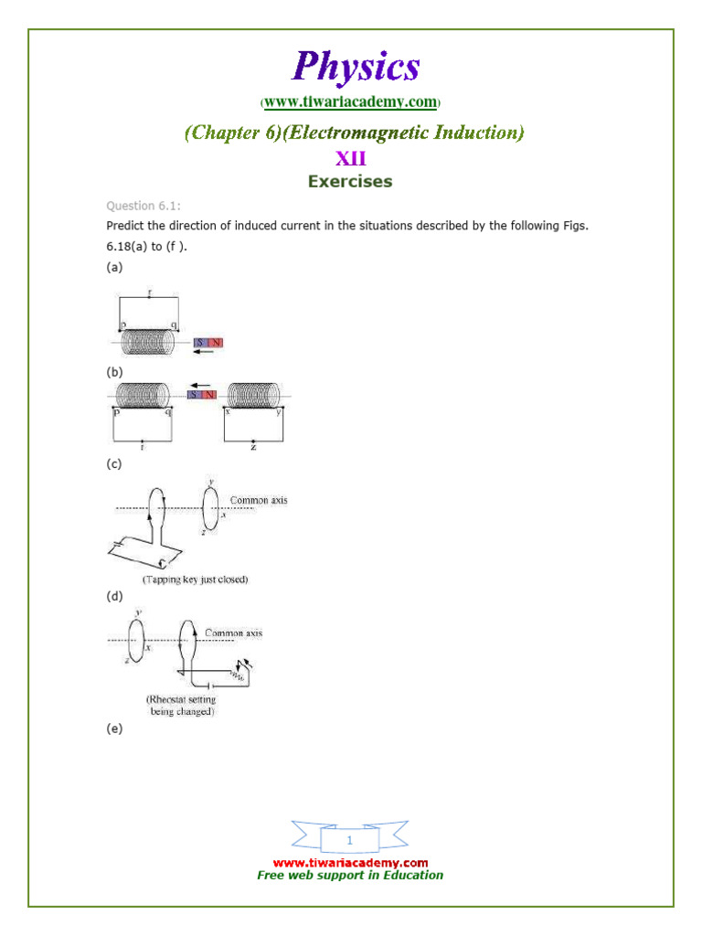 12 Physics NcertSolutions Chapter 6 Exercises PDF