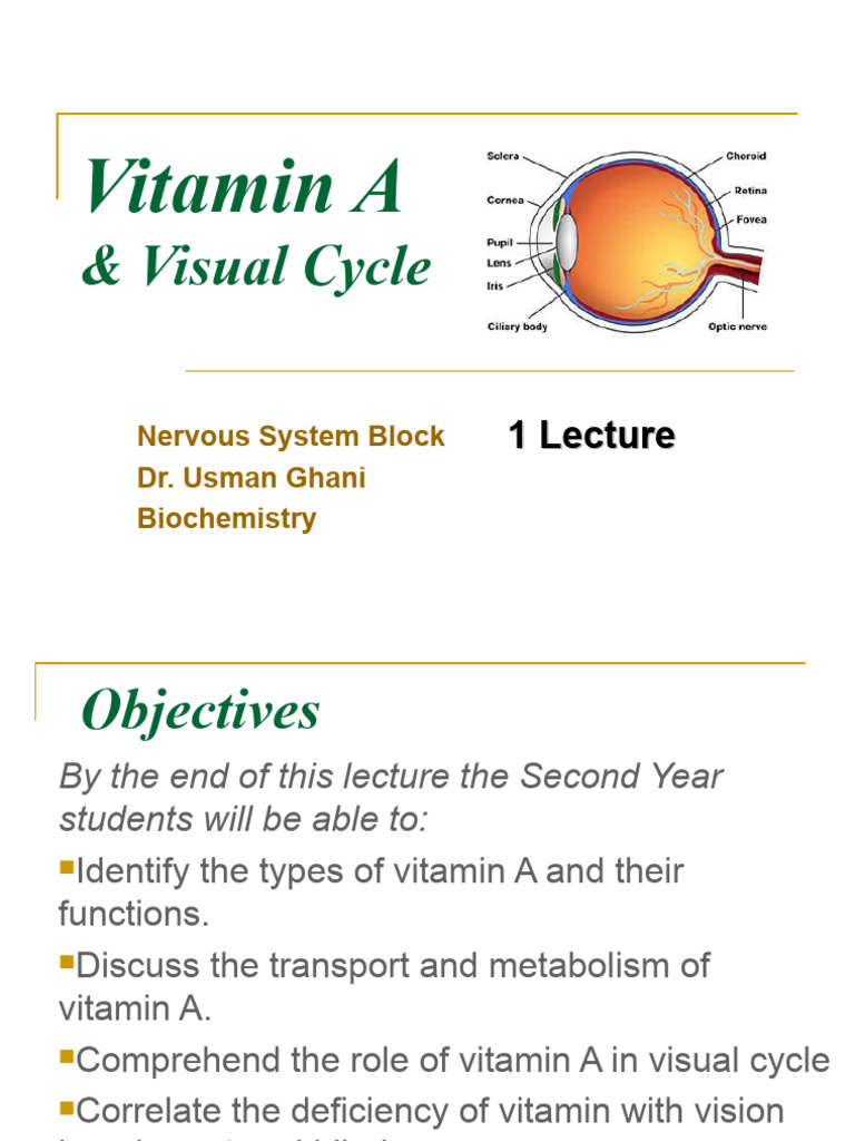 2-Vitamin A | PDF | Vitamin A | Retinal