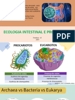 Ecologia Intestinal 