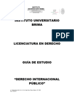 Derecho Internacional Publico Programa