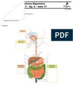 Sistema Digestório - Ext Enem
