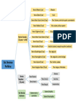 Sistema Nervioso Periférico