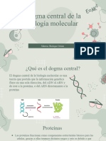 Ana Dogma Central de La Biologia Molecular