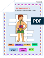 Ficha 1 de Junio - Ciencia y Tecnología