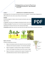 Morphology Notes-2023-24 Updated For Exam