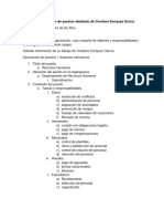 Análisis y Descripción de Puestos Detallado