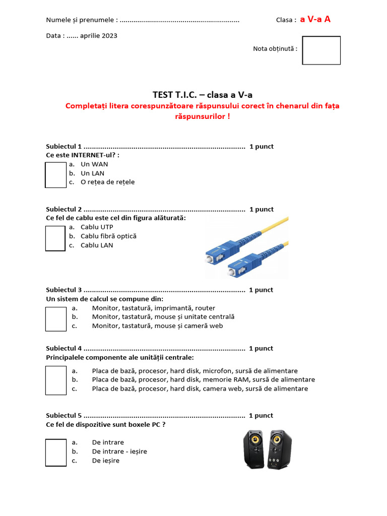 Test Evaluare Competențe Digitale Clasa A V - A | PDF