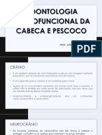 Odontologia Morfofuncional Da Cabeca e Pescoco