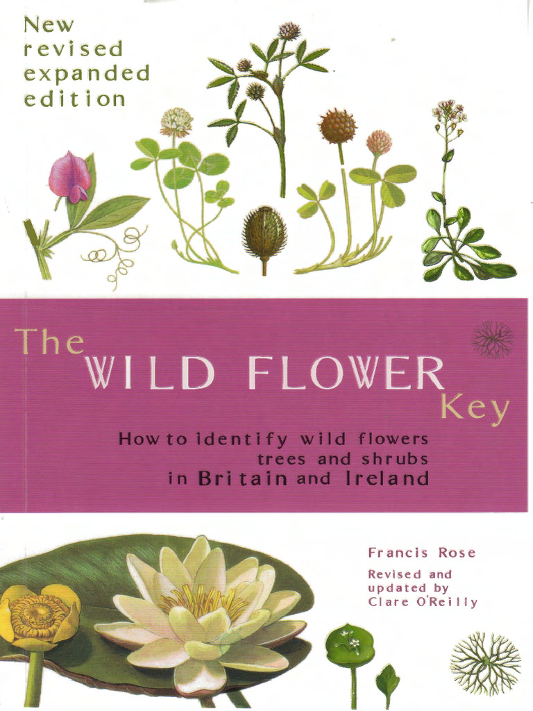 The Wild Flower Key | PDF | Petal | Flowers