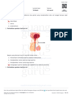 Ipa Sistem Reproduksi Manusia