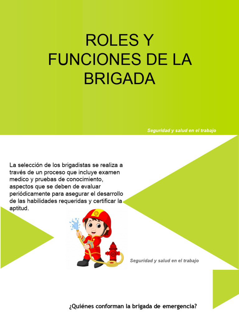 Roles y Funciones de La Brigada | PDF | Primeros auxilios | Valores