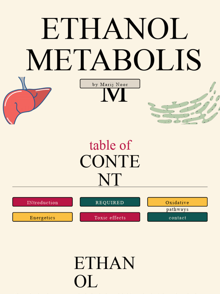 ALcohol Metabolism PDF Ethanol Adenosine Triphosphate