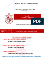 Clase Teorica Trafico Vesicular