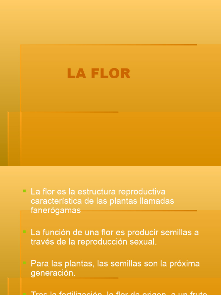 Partes y funciones de la flor | PDF | Flores | Polinización