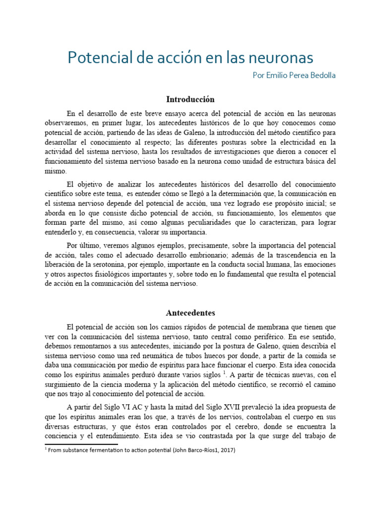 Potencial de Acción en Las Neuronas | PDF | Neurona | Sinapsis