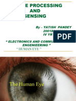 The Human Eye (YATISH PANDEY)