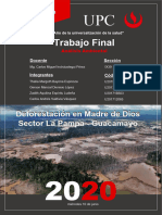 TF-G4-Deforestacción La Pampa - Guacamayo