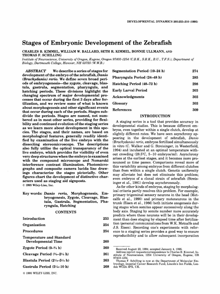 Stages of Embryonic Development of The Zebrafish | PDF | Embryo ...