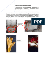 Informe de Evaluación de Epps Guantes