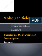 Molecular Biology Lecture 11