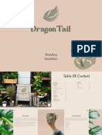DragonTail Final Project Brand Guidlines