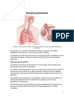 Alveolos Pulmonares