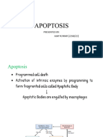 Apoptosis 2268 Org