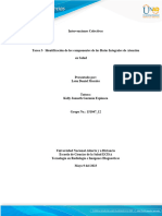 Tarea 3 - Identificación de Los Componentes de Las Rutas Integrales de Atención en Salud