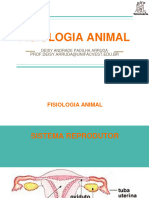 Fisiologia Animal - Reprodutor