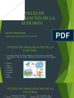 Niveles de Organización de La Ecología