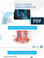 Articulación Temporomandibular y Cuello