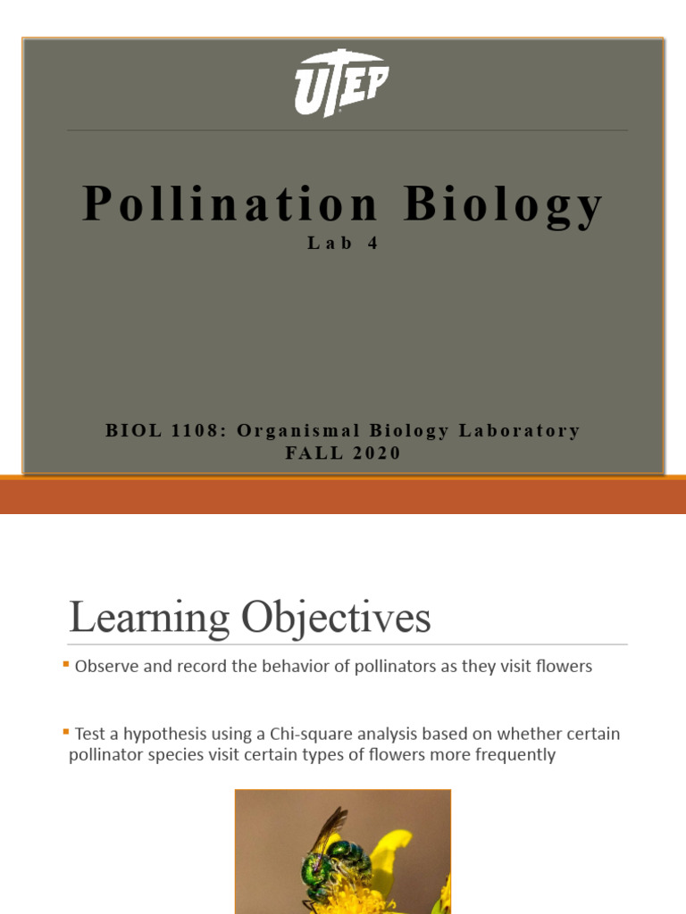L4P1 Pollination Biology Fall 2020 | PDF | Pollination | Chi Squared Test