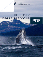 Se02 Full Day Ballenas y Glaciares CP 0430am BR