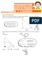 Razones Trigonometricas de Seno y Coseno para Quinto de Primaria